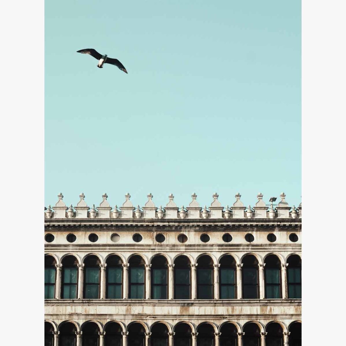 Poster bird and building