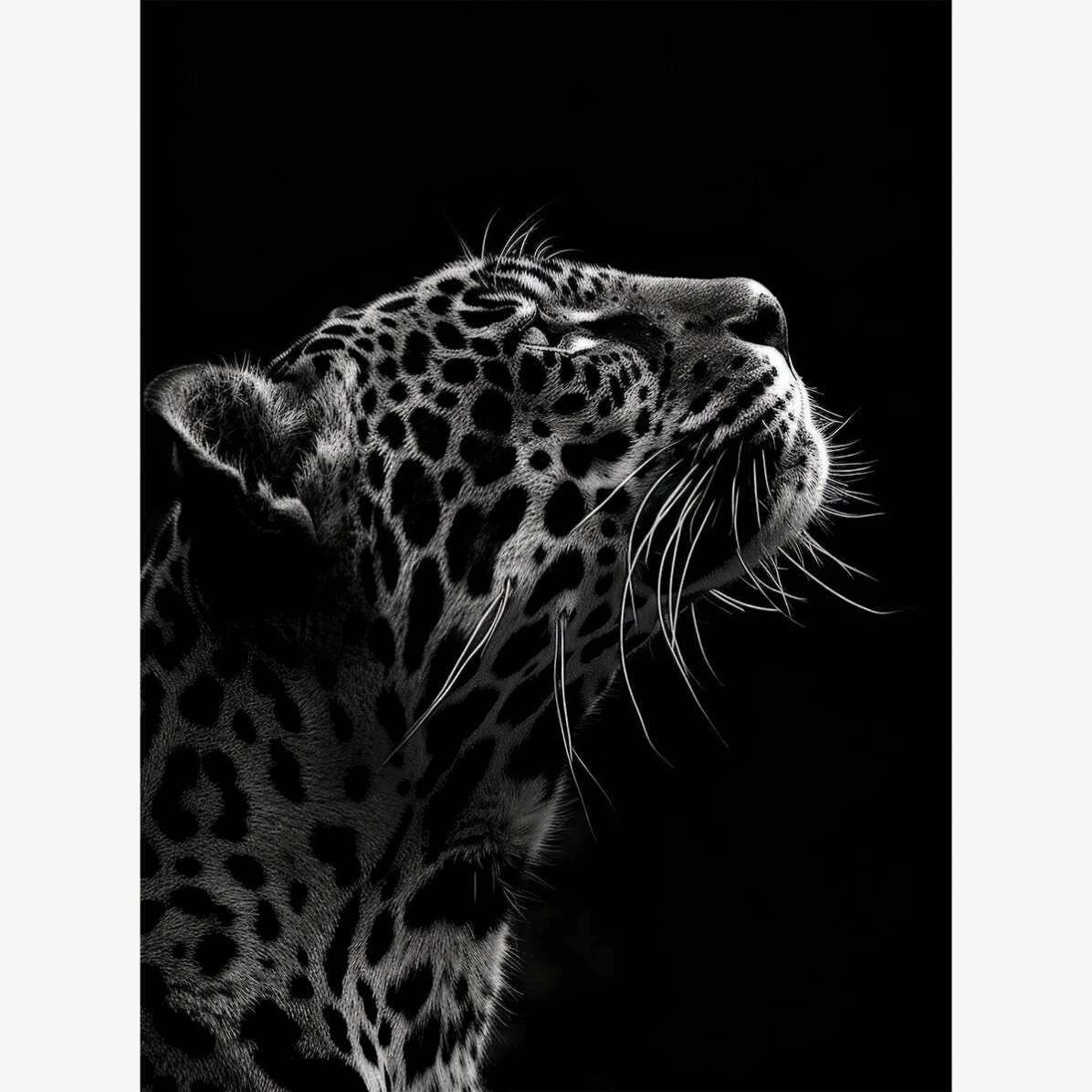 Plakat „Black and White Jaguar”