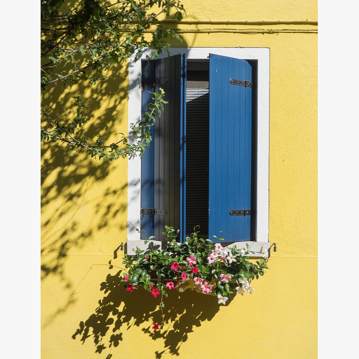 Plakat „Niebieskie okno z kwiatami”