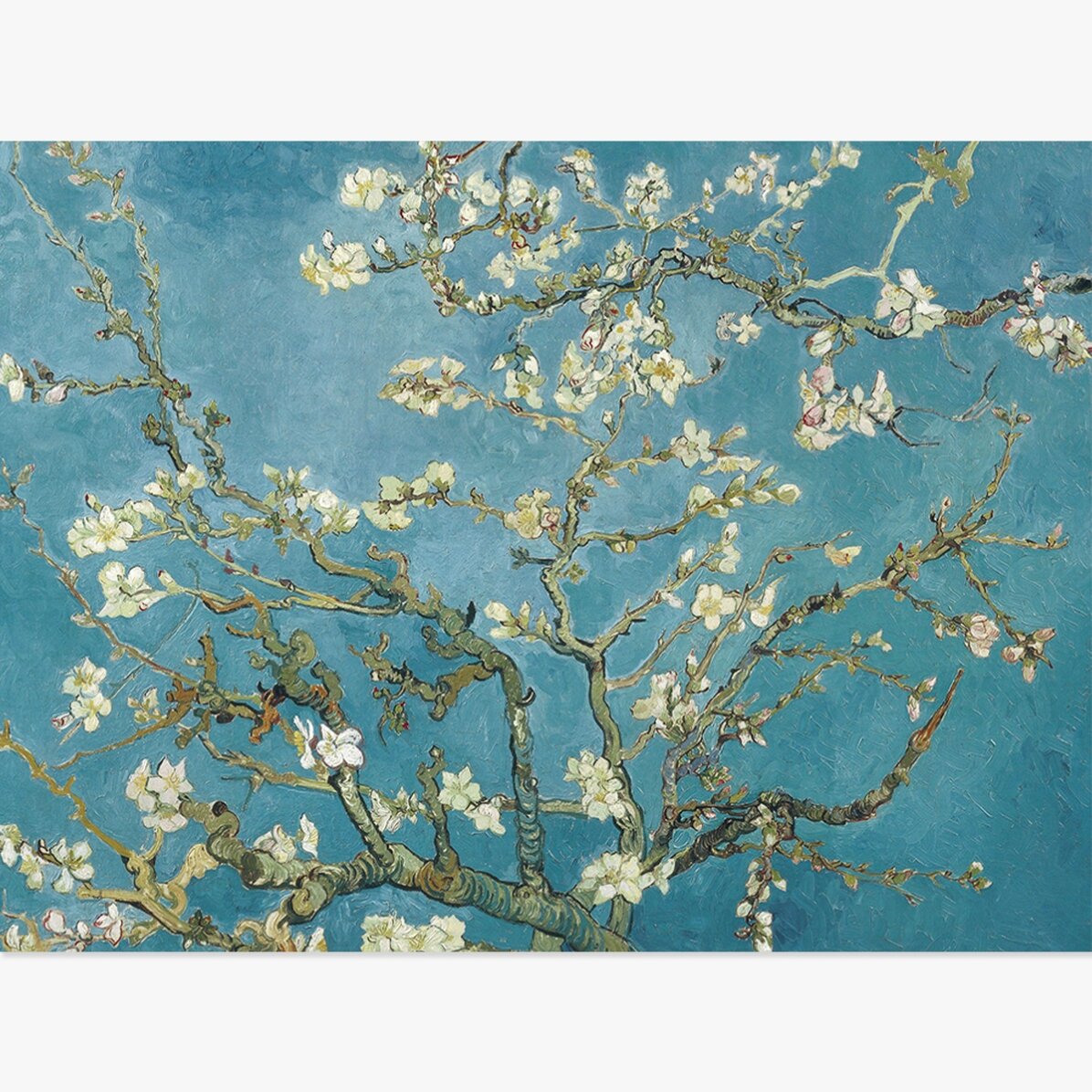 Plakat w formacie poziomym – Vincent van Gogh – Kwitnące gałęzie migdałowca, 1890