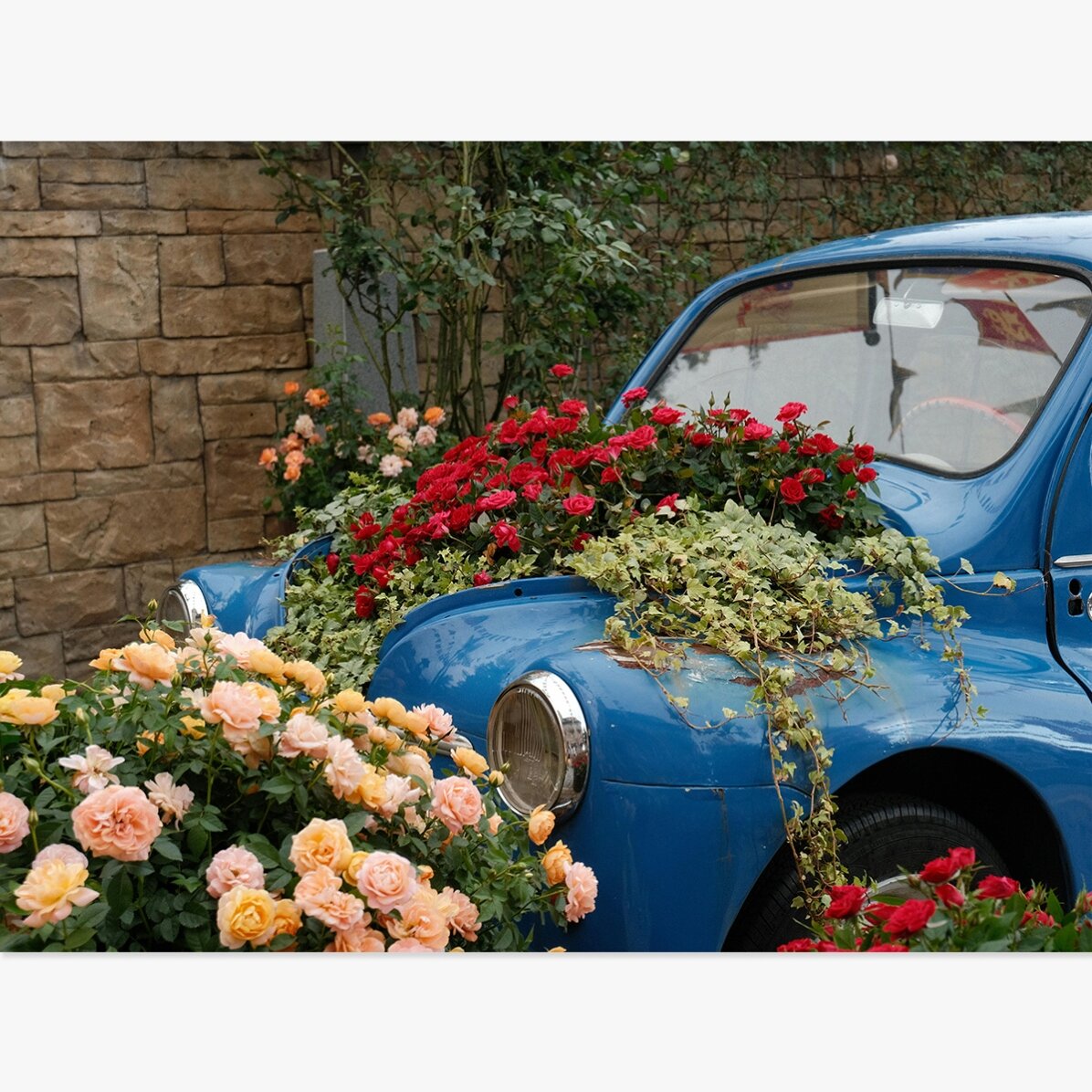 Vintage blue car with flowers poster