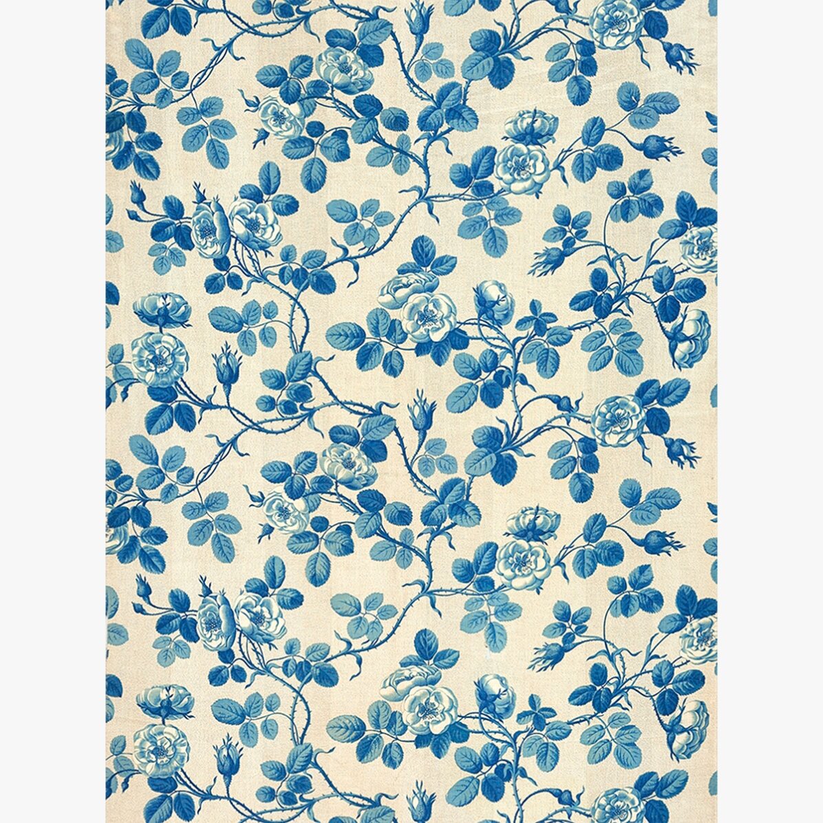 Blue Plants Poster