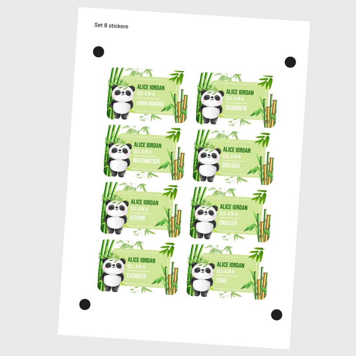 Zestaw 8 spersonalizowanych naklejek (samoprzylepnych etykiet) do szkoły – Cute Panda