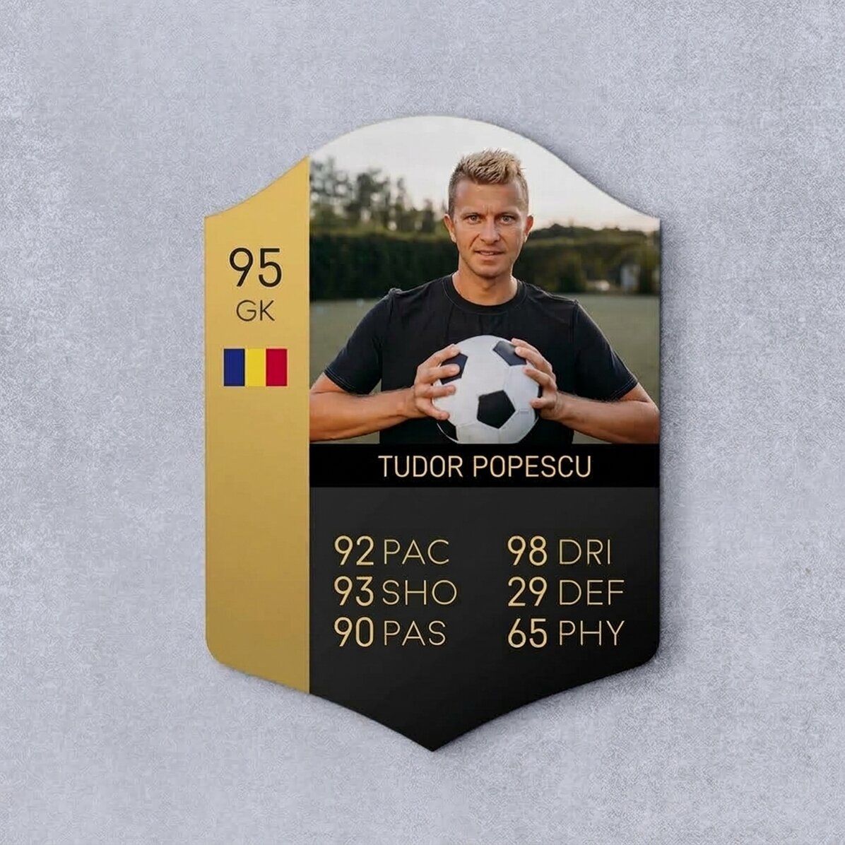 Spersonalizowana karta FIFA ze zdjęciem i statystykami – Miłośnik piłki nożnej