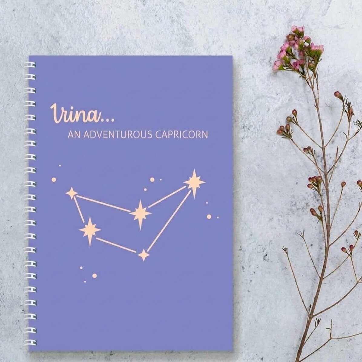 Spis z imieniem – Znak zodiaku Koziorożec