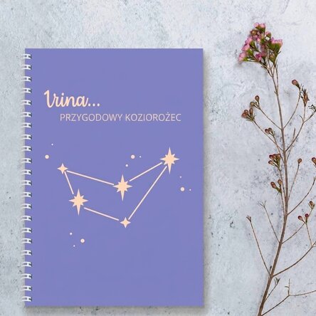 Spis z imieniem – Znak zodiaku Koziorożec