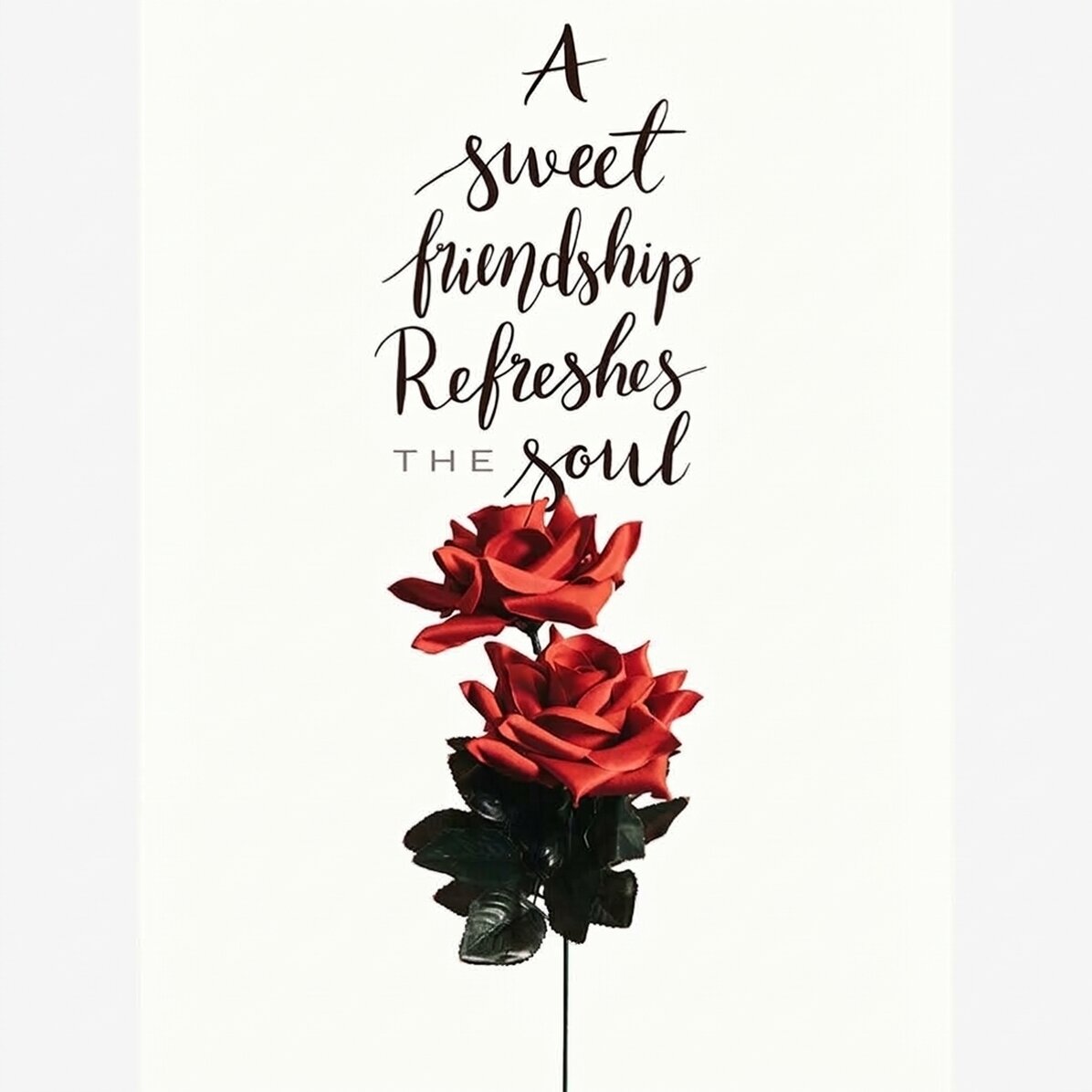 Friendship with Roses Poster